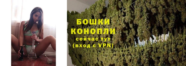 прущие крисы Козельск
